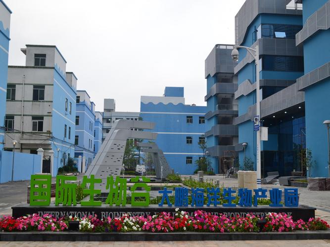 企业信用服务 工商信息、电话地址、注册信息与财务信息查询指南